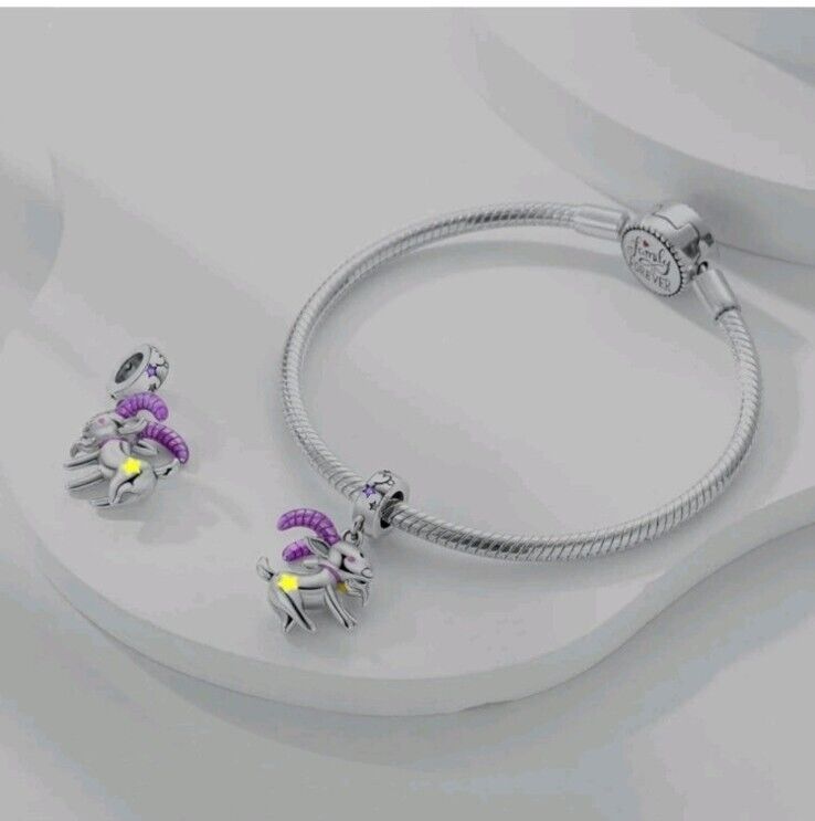 Capricorn Charm