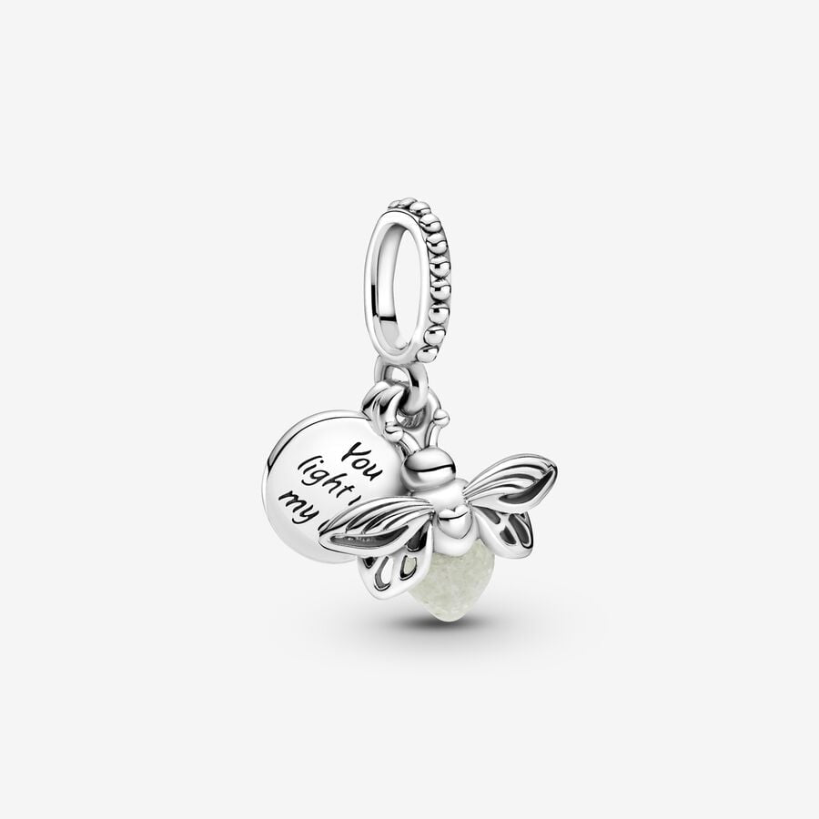 Dragon fly charm
